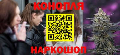 стаф Сланцы