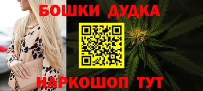 стаф Сланцы