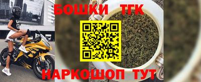 стаф Сланцы