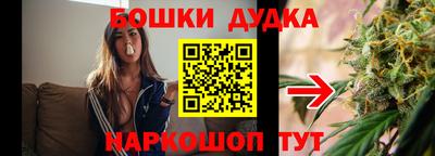 прущие крисы Славгород