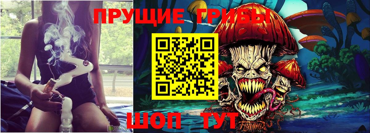 Отрадное  Псилоцибиновые грибы прущие грибы  Вход с VPN 
