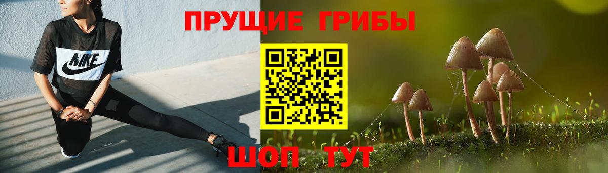 Псилоцибиновые грибы GOLDEN TEACHER Отрадное