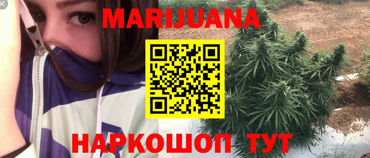 Каннабис индика Отрадное